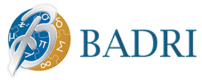 Badri Management Consultancy Logo